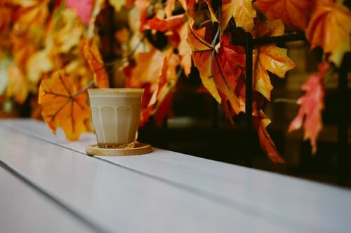 Leaves of Red Latte